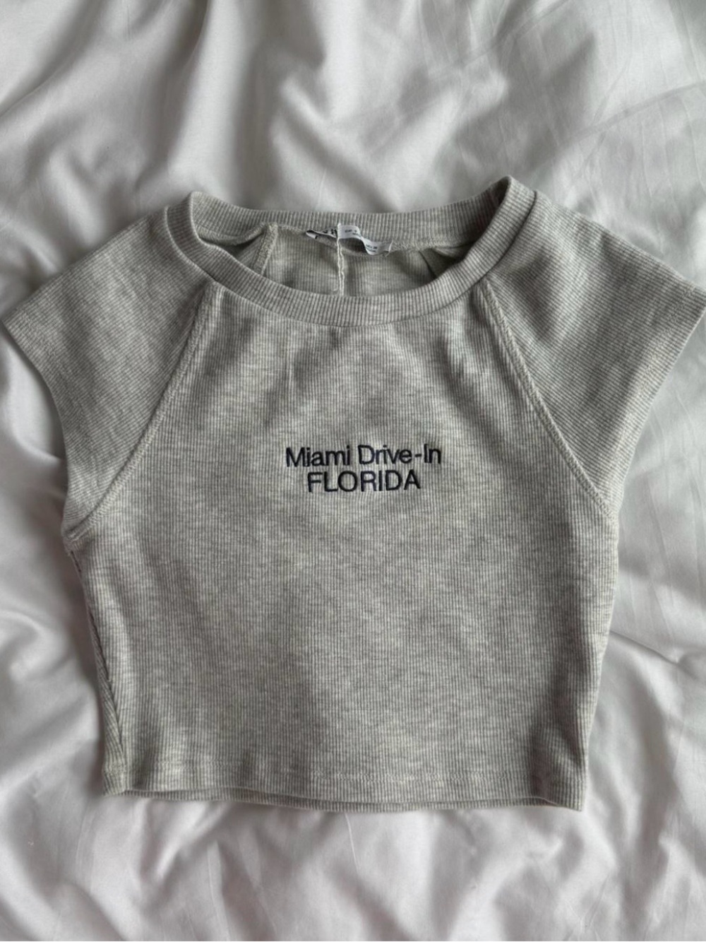 Zara Grey Crop Top Tee Baby Tee